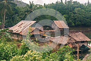 Philippine Forest Village