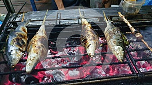 Philippine Milk Fish or Bangus over Fiery Charcoal