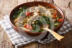 Philippine mung beans soup with pork closeup in a bowl. horizontal