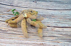 Philippine Sampalok Tamarind