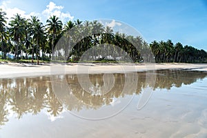 Philippines - Beautiful Landscape at San Vincente Long Beach, Palawan