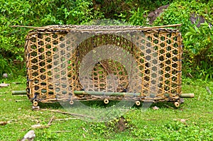 Philippines fish trap