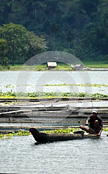 Philippines, Mindanao, Lake Sebu Fisherman