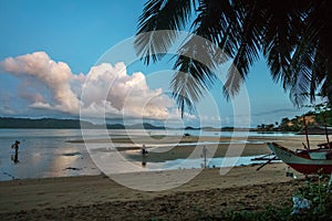 Philippines. palm trees on the sea. Palawan Island.