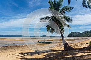 Philippines. palm trees on the sea. Palawan Island.