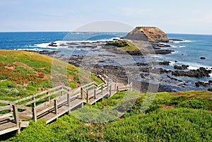 Phillip Island photo