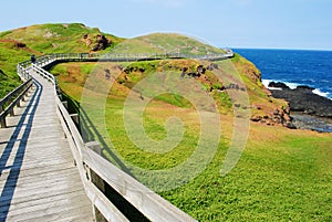 Phillip Island