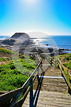 Phillip Island, Victoria, Australia.