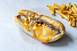 Philly Cheese Steak Sandwich with Melted Cheddar Cheese and Potatoes