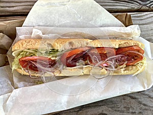Philly Style Cheese Hoagie