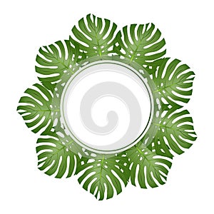 Philodendron Monstera Leaf Banner Wreath. Vector Illustration