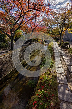 Philosopher`s walk next to the river in Kyoto Japan