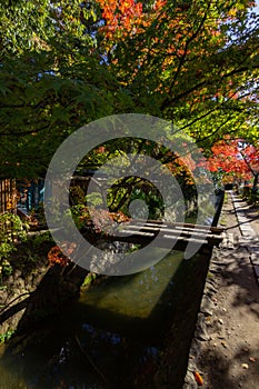 Philosopher`s walk next to the river in Kyoto Japan