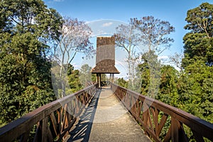 Philosophers Tower at Bosque Alemao German Forest Park - Curitiba, Parana, Brazil photo