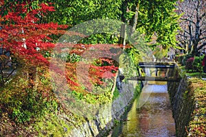 Philospher's Path in Kyoto, Japan