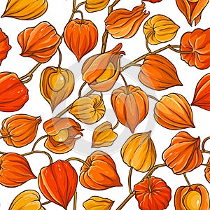 Phisalis branch vector pattern