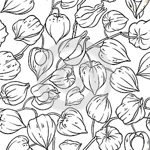 Phisalis seamless pattern
