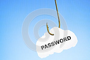 Phishing Password Concept