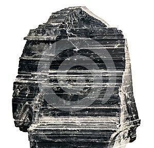 Phlogopite