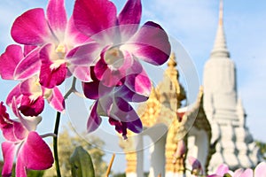 Phnom Penh, Royal Palace photo