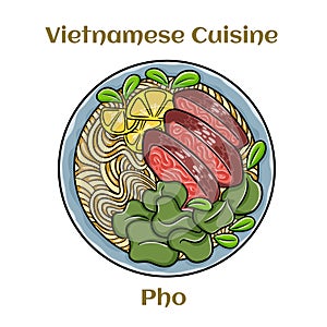 Pho Bo vietnamese soup with beef and rice noodles. Isolated vector illustration