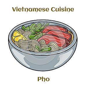 Pho Bo vietnamese soup with beef and rice noodles. Isolated vector illustration