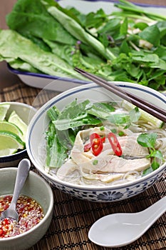Pho ga, vietnamese chicken rice noodle soup
