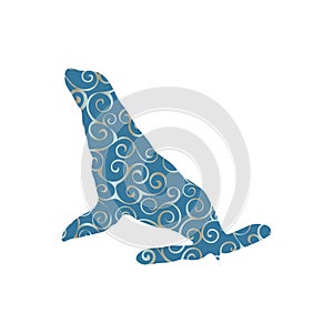 Phoca nautica color silhouette animal