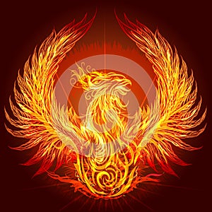 The Phoenix