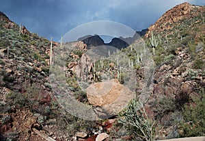 Phoenix, Arizona. Apache Trail scenery photo