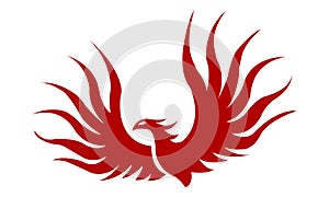 Phoenix bird