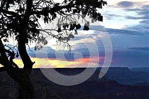 Phoenix bird cloud over canyon