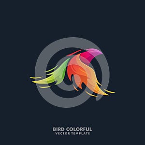 Phoenix Bird Colorful Illustration Vector Template