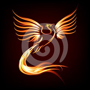 Phoenix bird fire silhouette