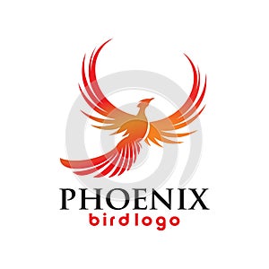 Phoenix bird logo