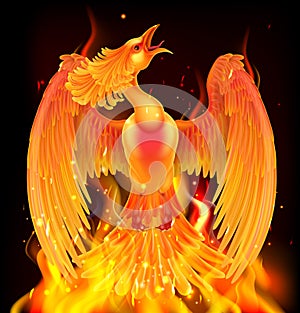 Phoenix Bird Rising From Ashes