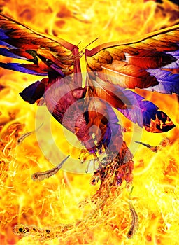 Phoenix bird rising out of the fire photo
