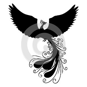 Phoenix bird silhouette ancient mythology fantasy