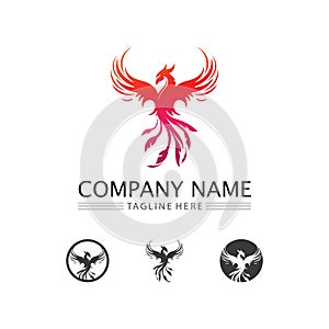 phoenix bird symbol and logo design vector illustration