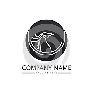 phoenix bird symbol and logo design vector illustration