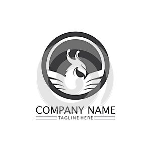 phoenix bird symbol and logo design vector illustration