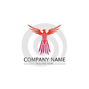 phoenix bird symbol and logo design vector illustration