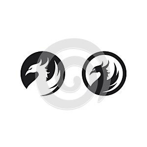 phoenix bird symbol and logo design vector illustration