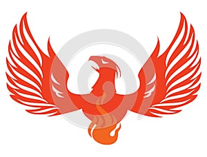Phoenix bird  vector illustration