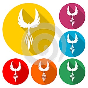 Phoenix design - Illustration