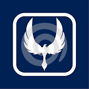 Phoenix design - Illustration