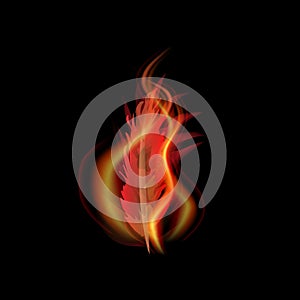 Phoenix feather in the fire, black background, vector
