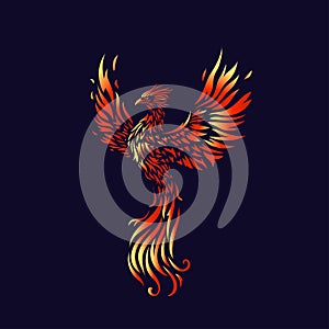 Phoenix Fire bird illustration