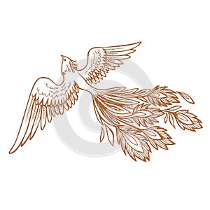 Phoenix Fire bird illustration and character design.Hand drawn Phoenix tattoo Japanese and Chinese style,Legend of the
