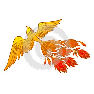Phoenix Fire bird illustration and character design.Hand drawn Phoenix tattoo Japanese and Chinese style,Legend of the